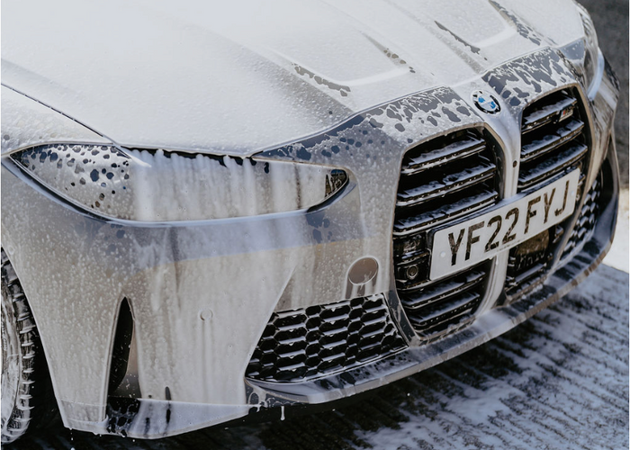 Car with bird poo dried in - car care